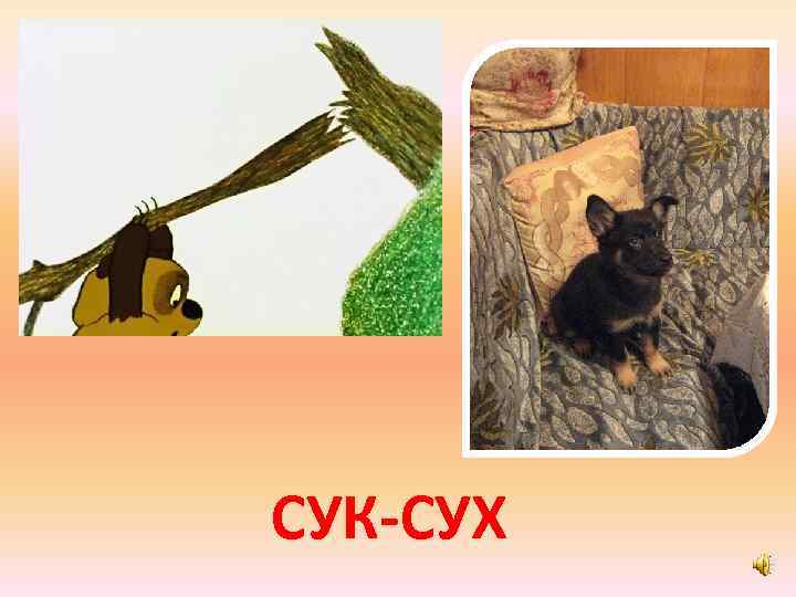 СУК-СУХ 