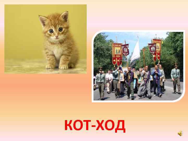 КОТ-ХОД 