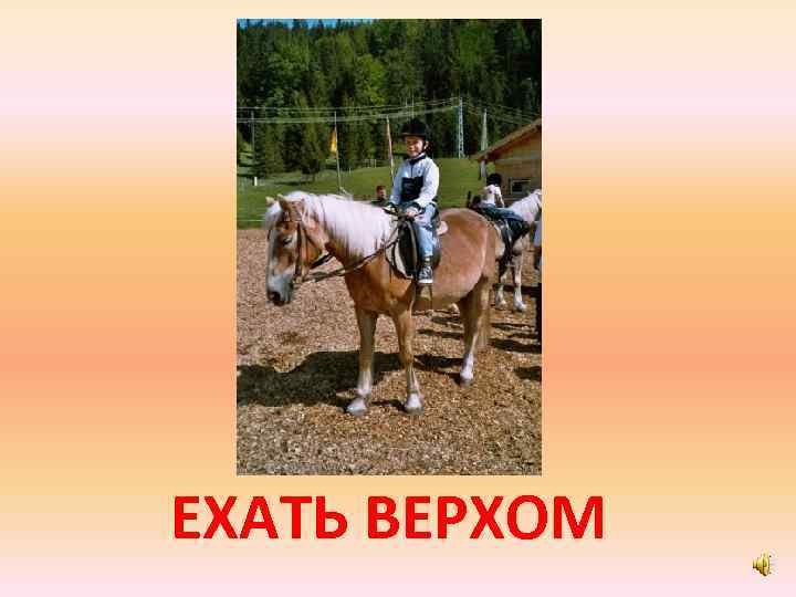 ЕХАТЬ ВЕРХОМ 