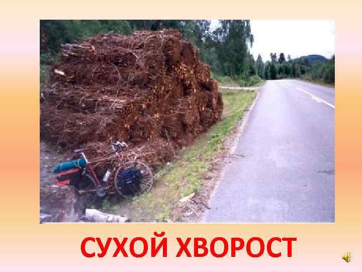 СУХОЙ ХВОРОСТ 