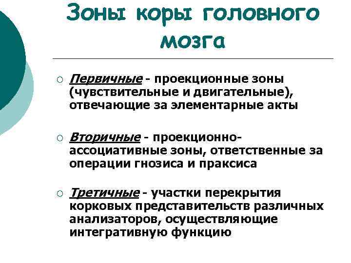 Зоны коры головного мозга ¡ Первичные - проекционные зоны ¡ Вторичные - проекционно- ¡