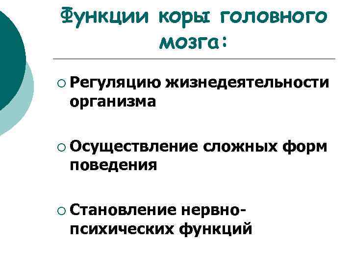 Функции коры головного мозга: ¡ Регуляцию организма жизнедеятельности ¡ Осуществление поведения ¡ Становление сложных