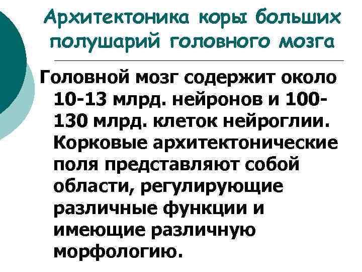 Архитектоника коры больших полушарий головного мозга Головной мозг содержит около 10 -13 млрд. нейронов