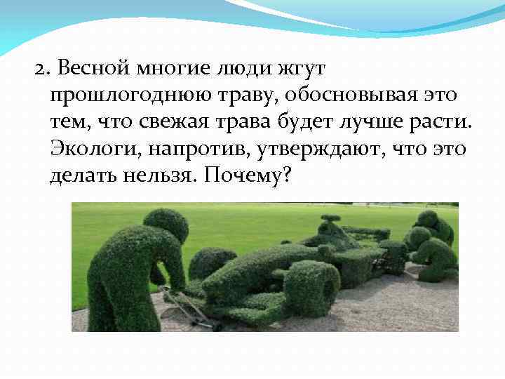 2. Весной многие люди жгут прошлогоднюю траву, обосновывая это тем, что свежая трава будет