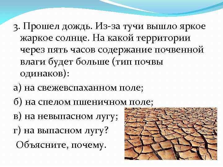 3. Прошел дождь. Из-за тучи вышло яркое жаркое солнце. На какой территории через пять