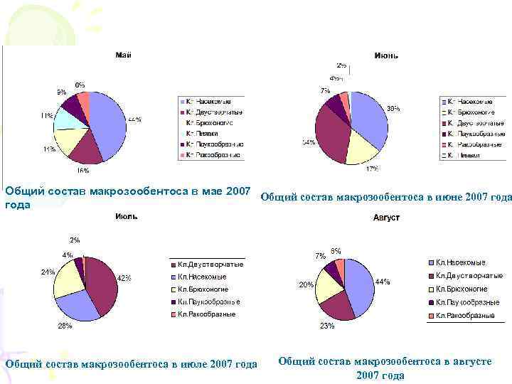 Общий состав макрозообентоса в мае 2007 Общий состав макрозообентоса в июне 2007 года Общий