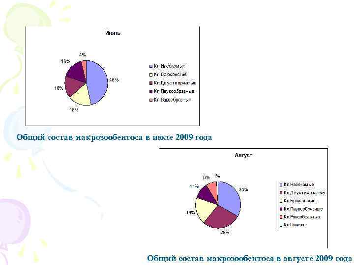 Общий состав макрозообентоса в июле 2009 года Общий состав макрозообентоса в августе 2009 года
