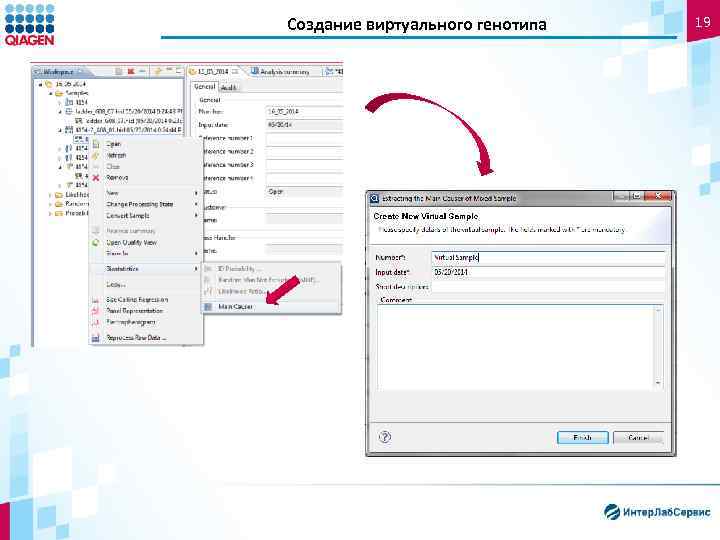 Создание виртуального генотипа 19 
