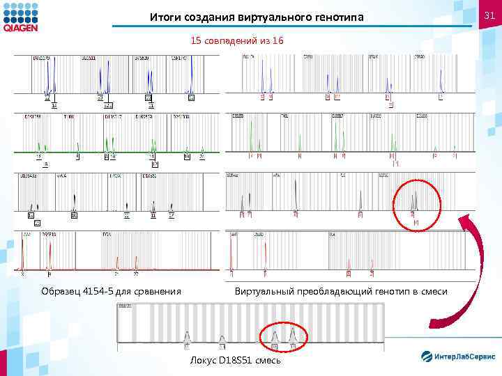 Итоги создания виртуального генотипа 15 совпадений из 16 Образец 4154 -5 для сравнения Виртуальный