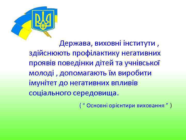 Держава, виховні інститути , здійснюють профілактику негативних проявів поведінки дітей та учнівської молоді ,