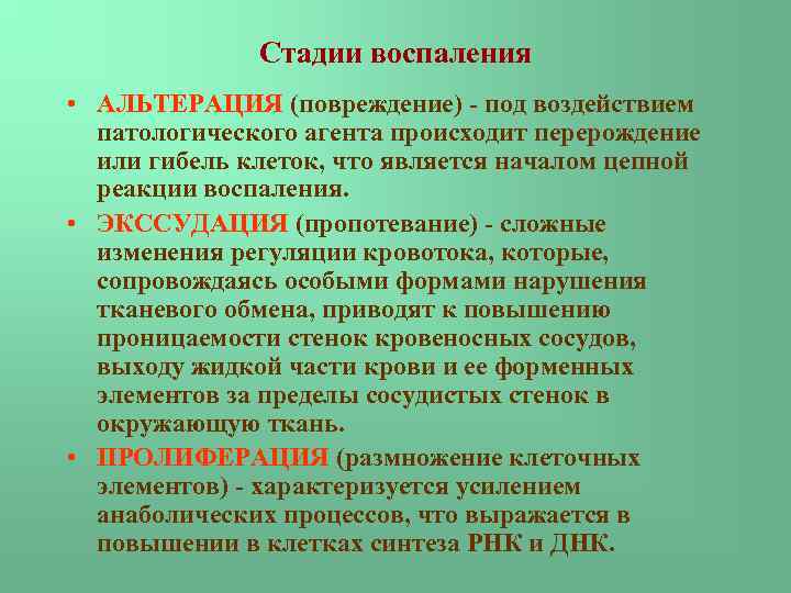 1 стадии воспаления. Этапы развития воспаления. Стадии воспаления альтерация. Фазы развития воспаления. Стадии воспалительной реакции.