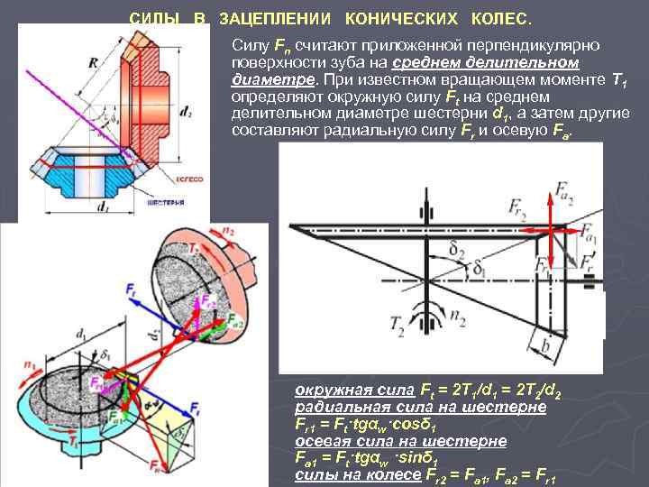СИЛЫ В ЗАЦЕПЛЕНИИ КОНИЧЕСКИХ КОЛЕС. Силу Fn считают приложенной перпендикулярно поверхности зуба на среднем