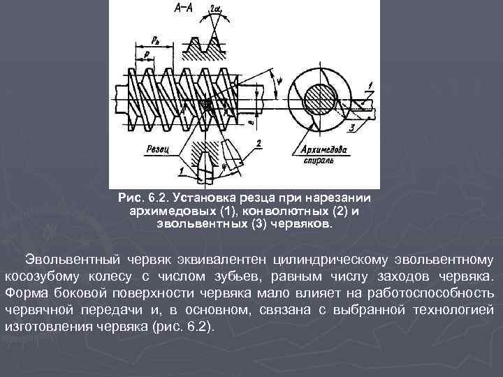 Рис. 6. 2. Установка резца при нарезании архимедовых (1), конволютных (2) и эвольвентных (3)
