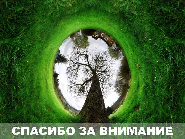 СПАСИБО ЗА ВНИМАНИЕ 