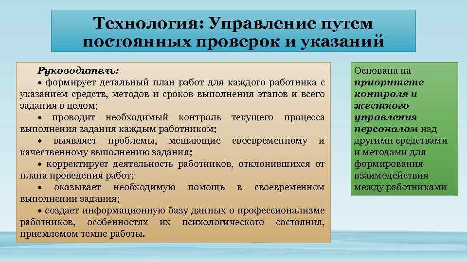 Путь управление. Технология управления путем постоянных проверок и указаний.