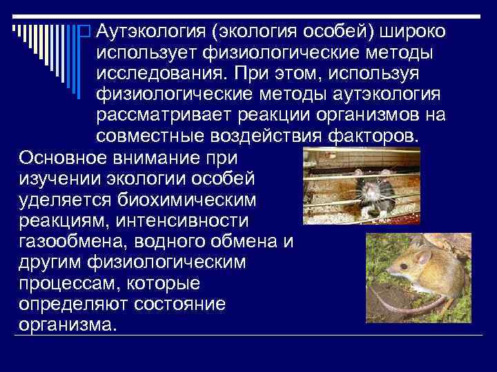 Разделы экологии аутэкология. Аутэкология. Аутэкология это наука которая изучает. Аутэкология экология организмов. Аутэкология окружающая среда.