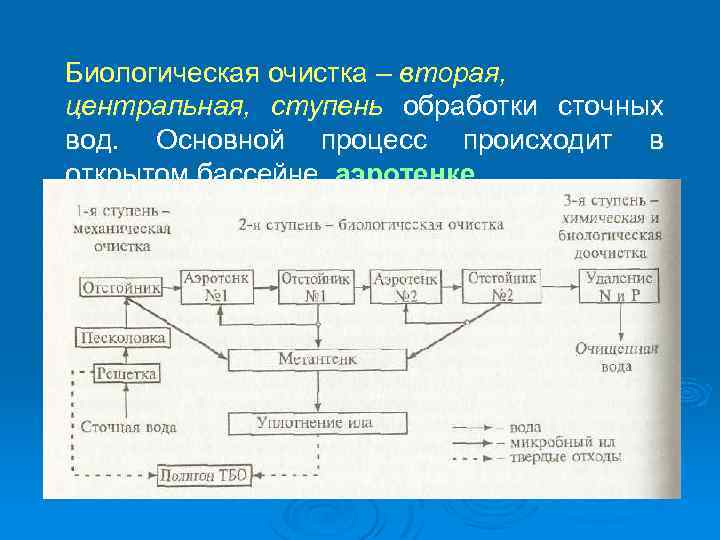 Биологическая очистка – вторая, центральная, ступень обработки сточных вод. Основной процесс происходит в открытом