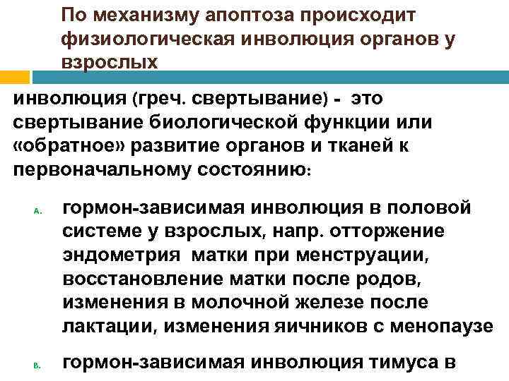 По механизму апоптоза происходит физиологическая инволюция органов у взрослых инволюция (греч. свертывание) - это