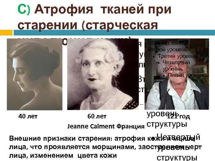 С) Атрофия тканей при старении (старческая инволюция кожи) правкитекста Для Образец Второй уровень структуры