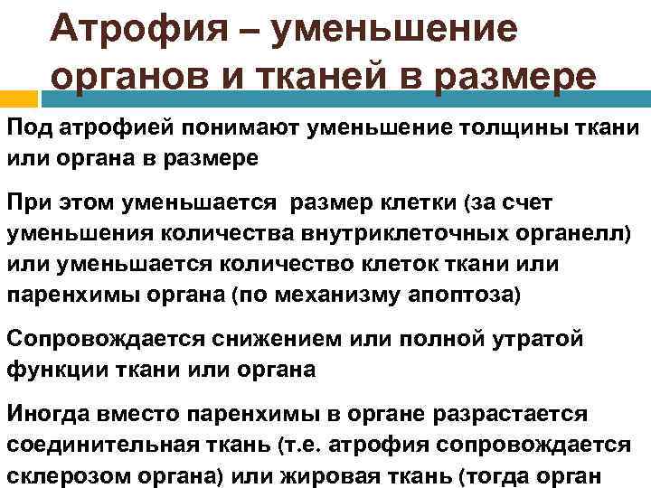 Атрофия – уменьшение органов и тканей в размере Под атрофией понимают уменьшение толщины ткани