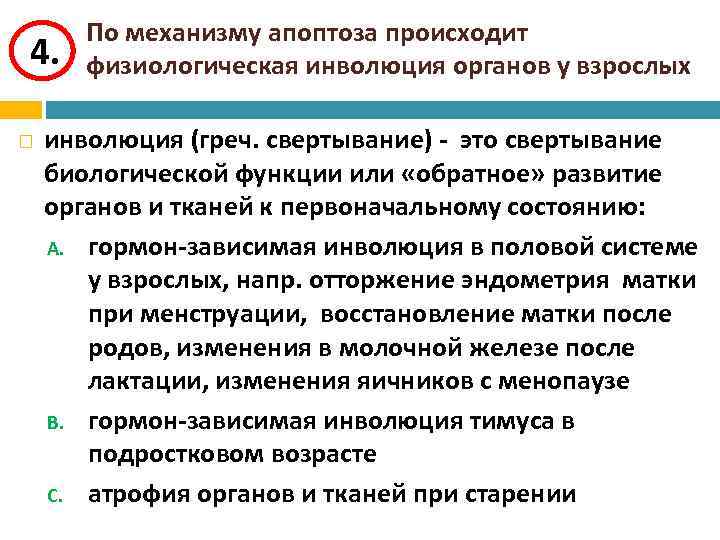 4. По механизму апоптоза происходит физиологическая инволюция органов у взрослых инволюция (греч. свертывание) -