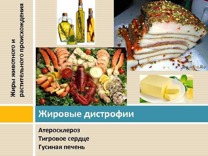 Жиры животного и растительного происхождения Жировые дистрофии Атеросклероз Тигровое сердце Гусиная печень 