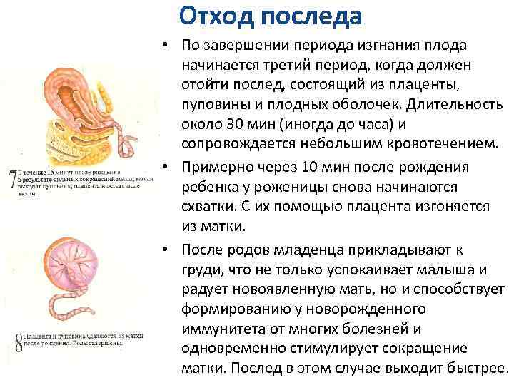 Организм в послеродовой период