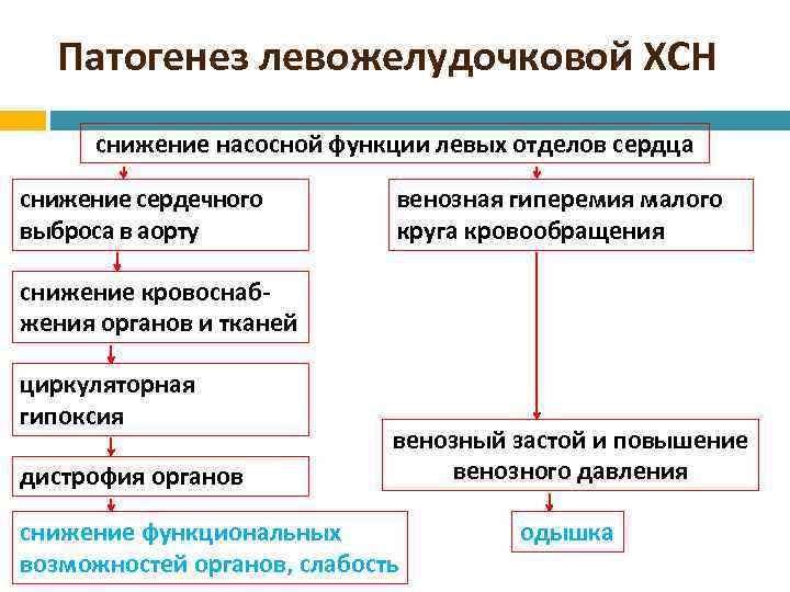 Патогенез левожелудочковой ХСН снижение насосной функции левых отделов сердца снижение сердечного выброса в аорту