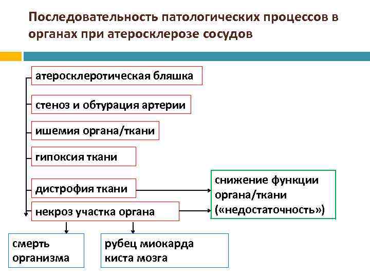 Последовательность патологических процессов в органах при атеросклерозе сосудов атеросклеротическая бляшка стеноз и обтурация артерии