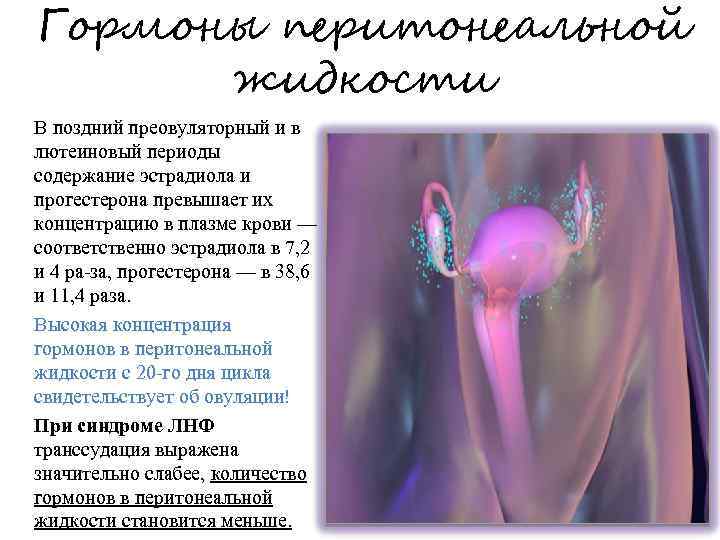 Гормоны перитонеальной жидкости В поздний преовуляторный и в лютеиновый периоды содержание эстрадиола и прогестерона