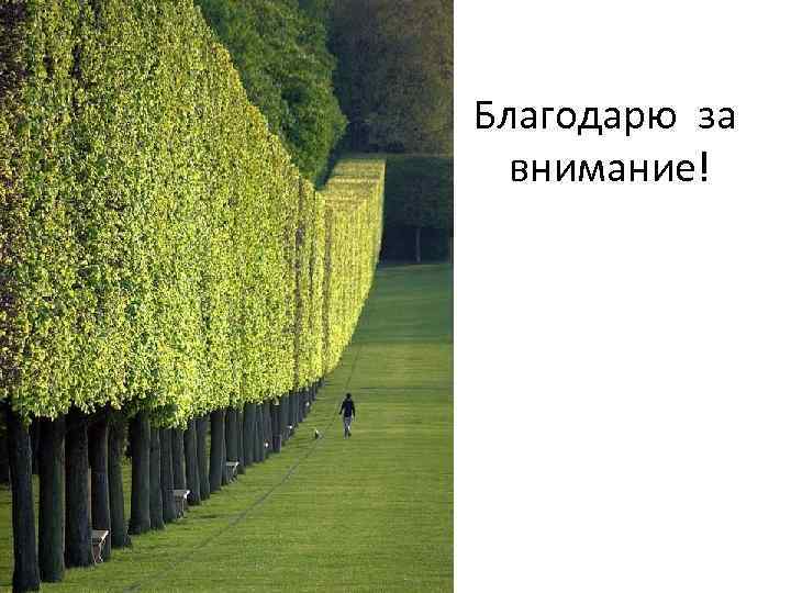 Благодарю за внимание! 