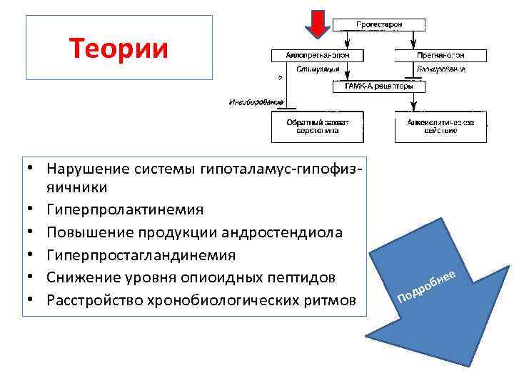 Теории • Нарушение системы гипоталамус гипофиз яичники • Гиперпролактинемия • Повышение продукции андростендиола •