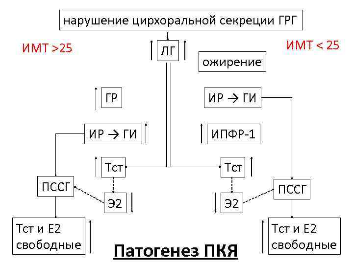 нарушение цирхоральной секреции ГРГ ИМТ >25 ЛГ ожирение ГР Тст и Е 2 свободные