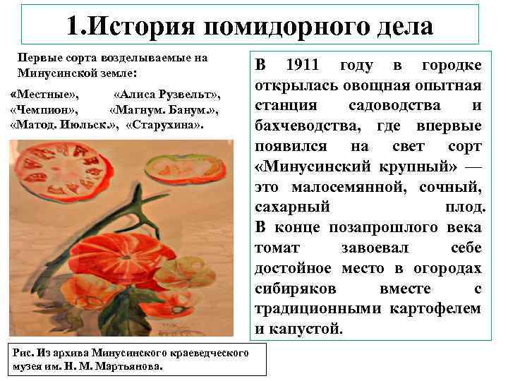 1. История помидорного дела Первые сорта возделываемые на Минусинской земле: «Местные» , «Алиса Рузвельт»