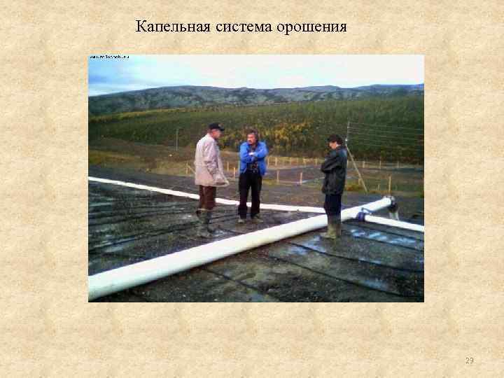 Капельная система орошения 23 