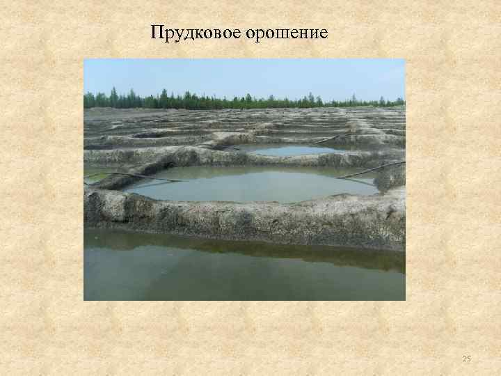 Прудковое орошение 25 