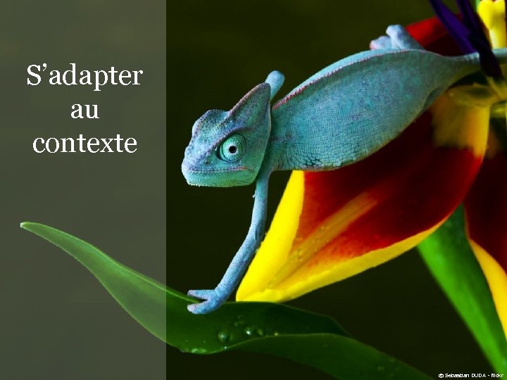 S’adapter au contexte © Sebastian DUDA - flickr 