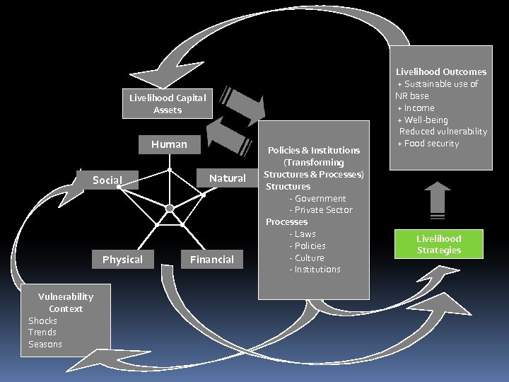 Livelihood Capital Assets Human Social Physical Vulnerability Context Shocks Trends Seasons Natural Financial Policies