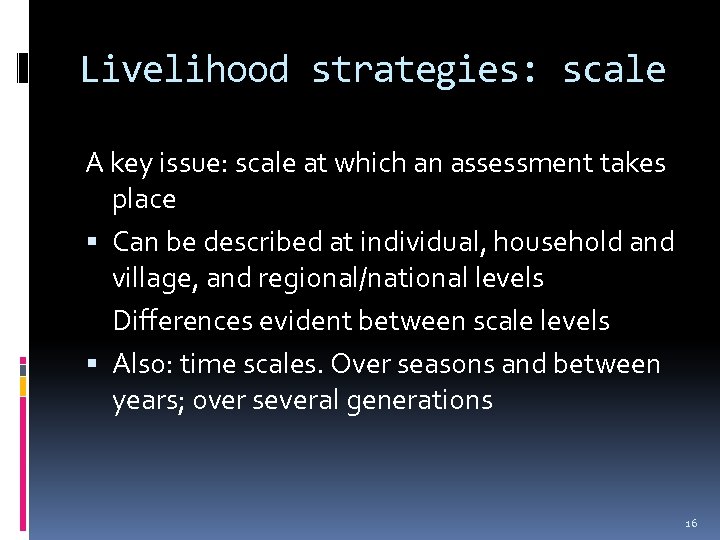 Livelihood strategies: scale A key issue: scale at which an assessment takes place Can
