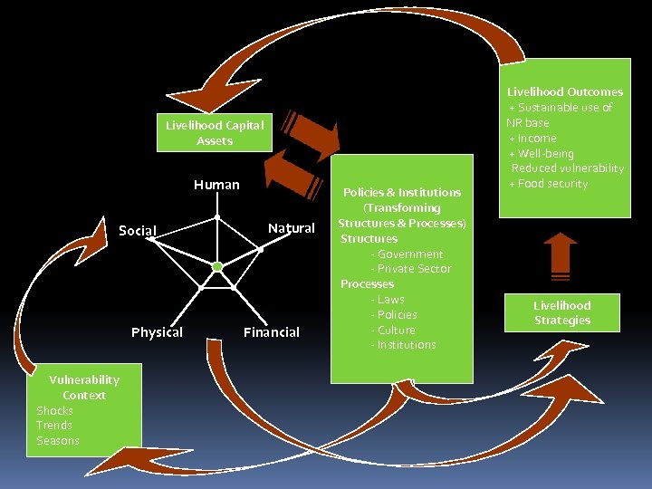 Livelihood Capital Assets Human Social Physical Vulnerability Context Shocks Trends Seasons Natural Financial Policies
