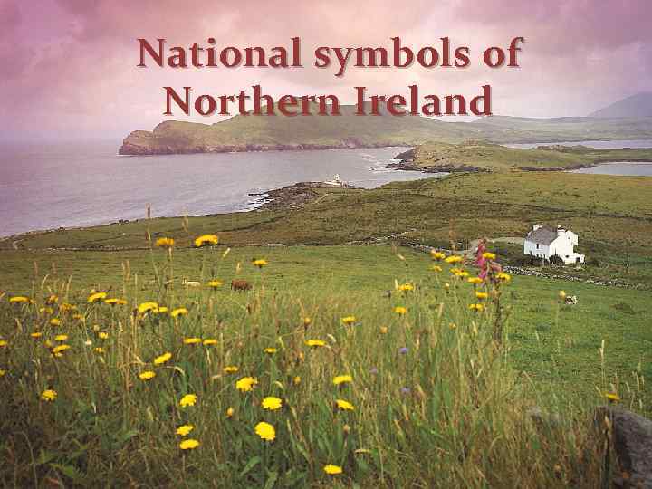 National symbols of Northern Ireland 