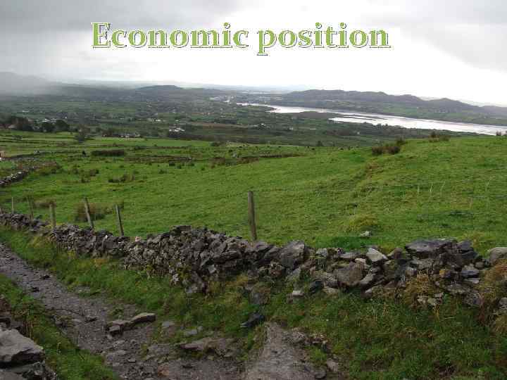 Economic position 