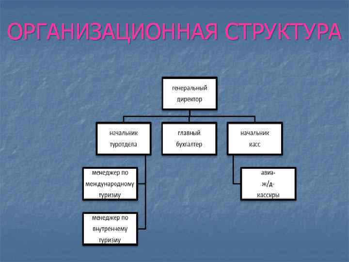 ОРГАНИЗАЦИОННАЯ СТРУКТУРА 