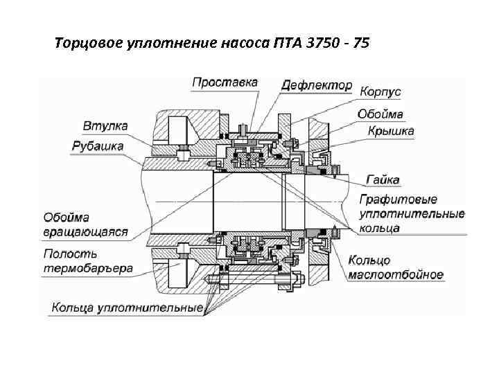 Торцевое уплотнение насоса чертеж