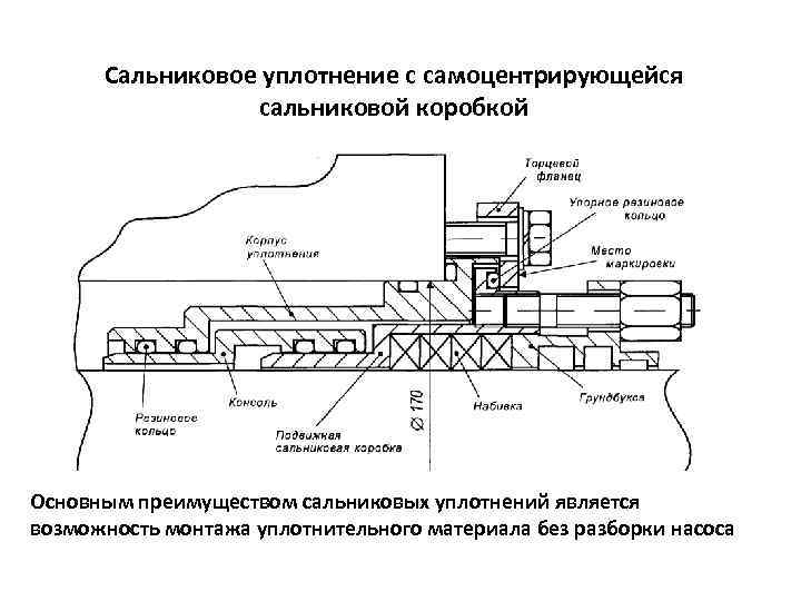 Сальниковая набивка чертеж