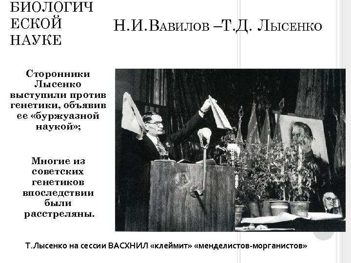 БИОЛОГИЧ ЕСКОЙ НАУКЕ Н. И. ВАВИЛОВ –Т. Д. ЛЫСЕНКО Сторонники Лысенко выступили против генетики,