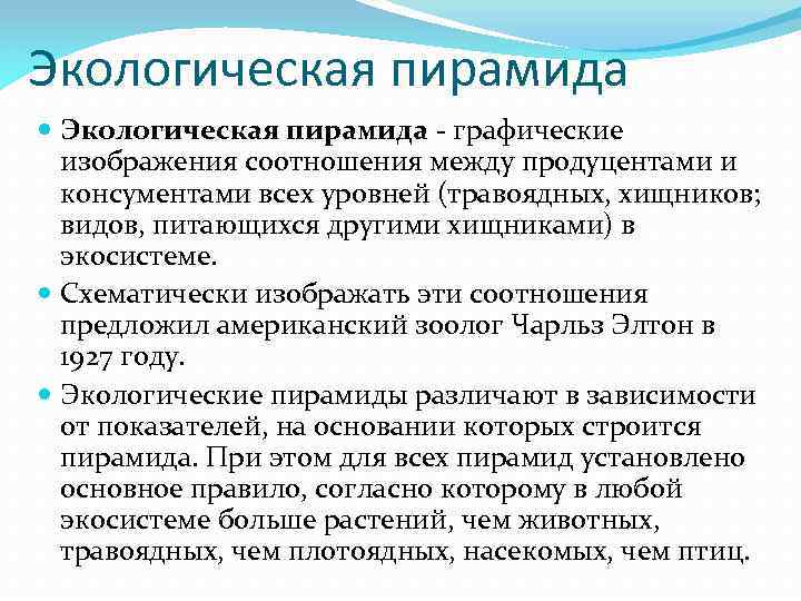 Как называется графическое изображение соотношения между продуцентами и консументами всех уровней