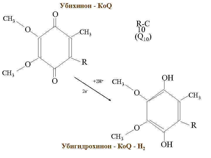 Убихинон - Ко. Q O CH 3 O R-C 10 (Q 10) R O