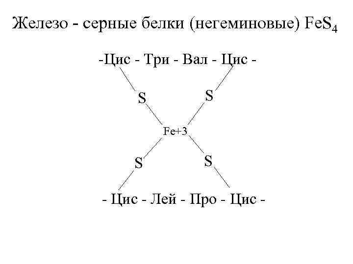 Железо - серные белки (негеминовые) Fe. S 4 -Цис - Три - Вал -