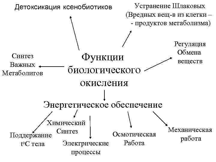 Детоксикация ксенобиотиков Синтез Важных Метаболитов Устранение Шлаковых (Вредных вещ-в из клетки – - продуктов